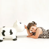 Bella the cow black & white